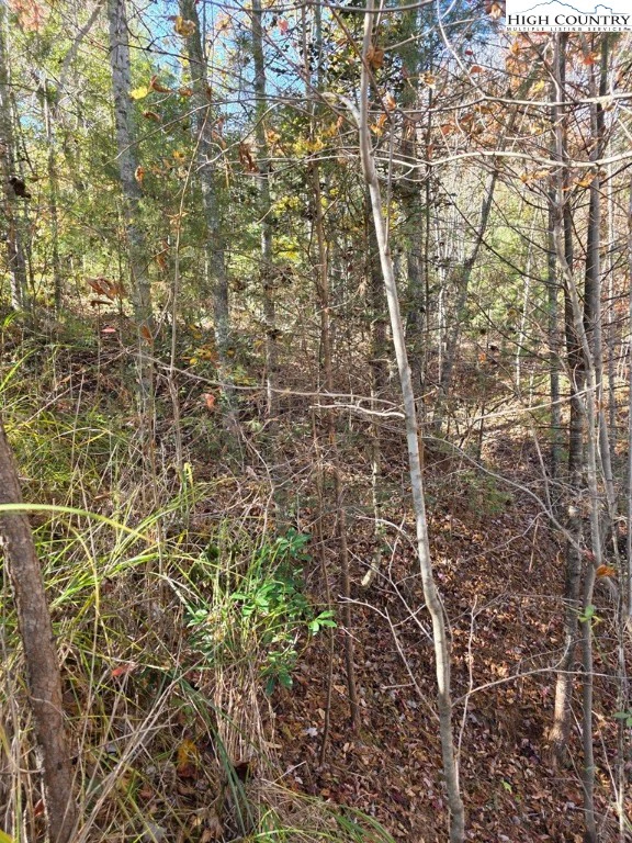 Image number 7 for the current listing