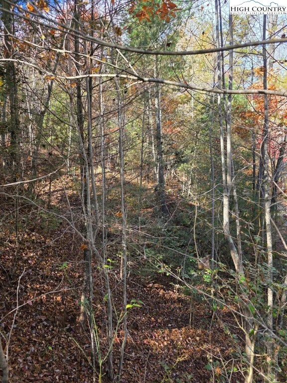 Image number 6 for the current listing