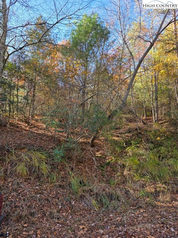 Image number 5 for the current listing