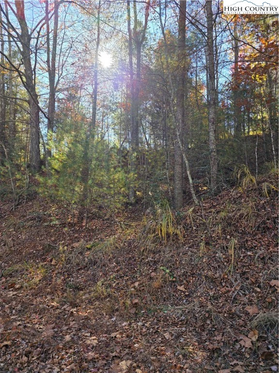 Image number 4 for the current listing