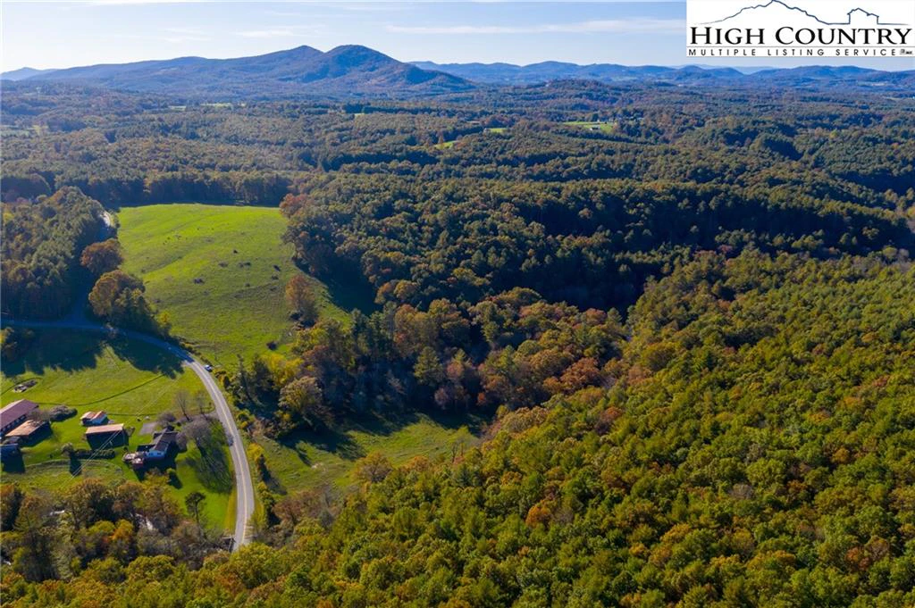 Image number 1 for the current listing