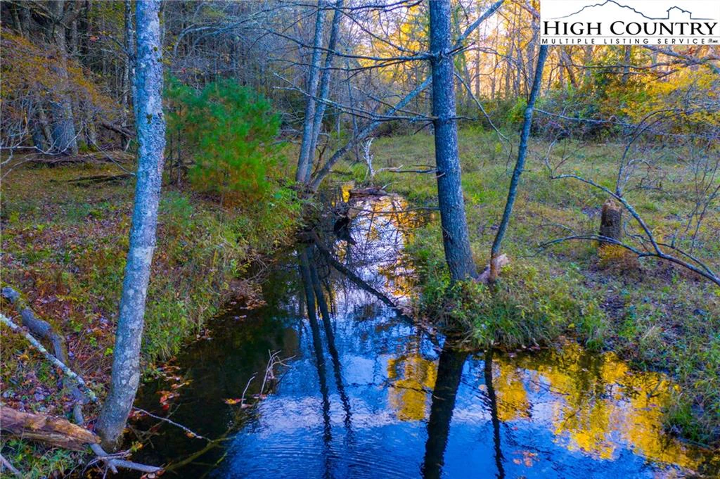 Image number 4 for the current listing