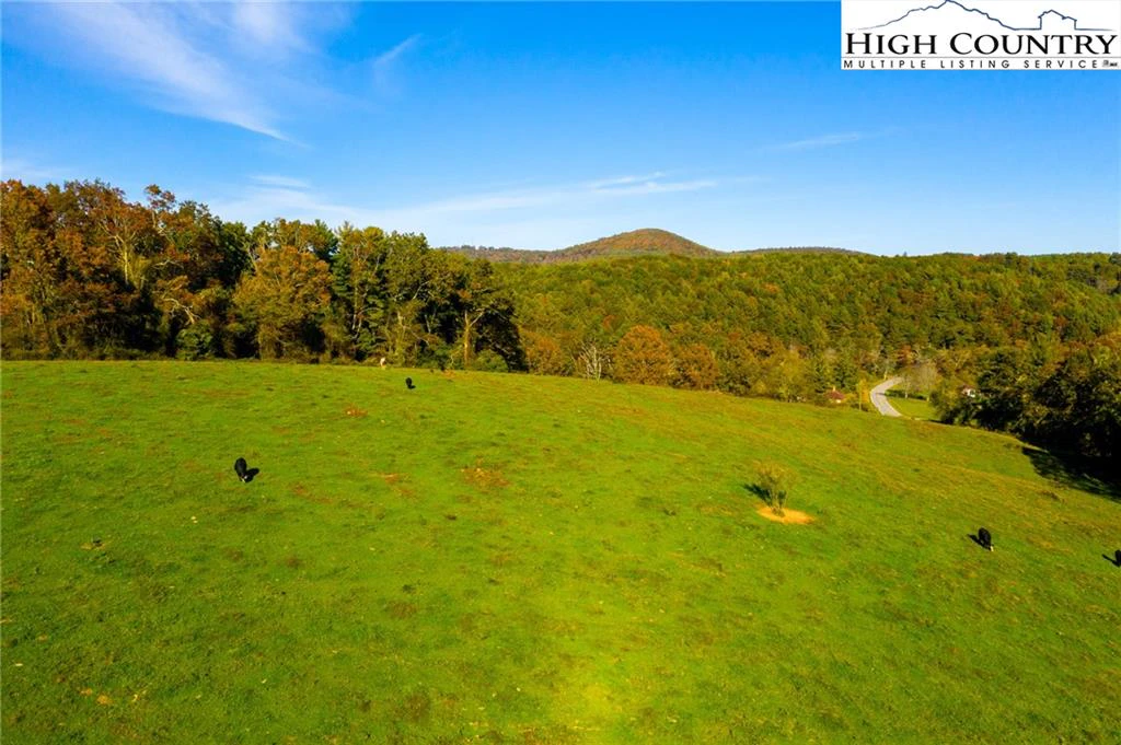 Image number 15 for the current listing