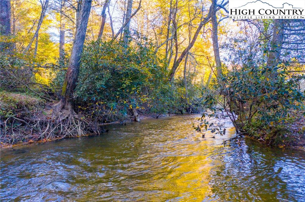 Image number 14 for the current listing