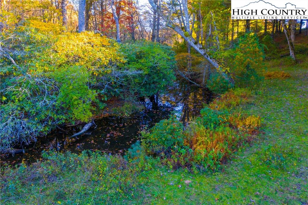Image number 2 for the current listing