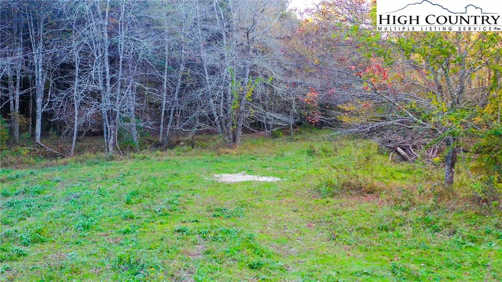Image number 10 for the current listing