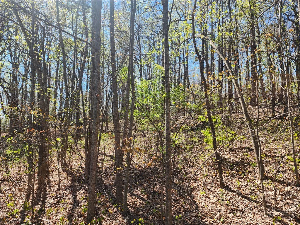 Image number 3 for the current listing