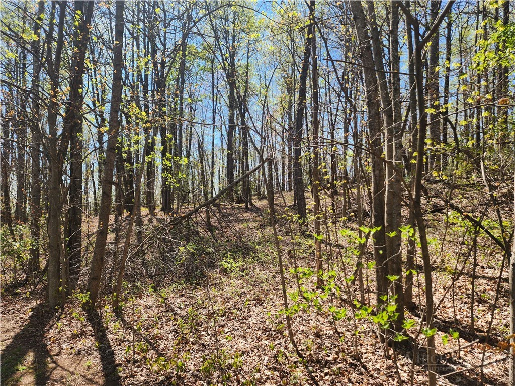 Image number 4 for the current listing