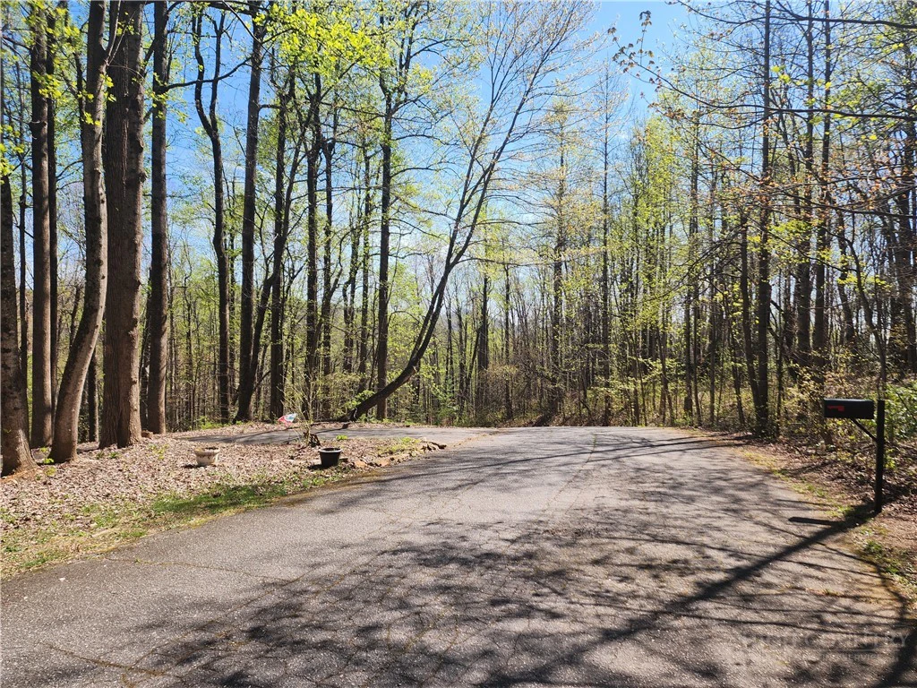 Image number 6 for the current listing