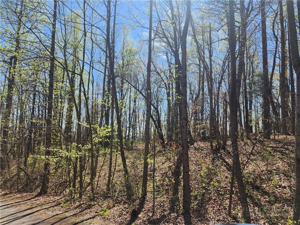 Image number 7 for the current listing