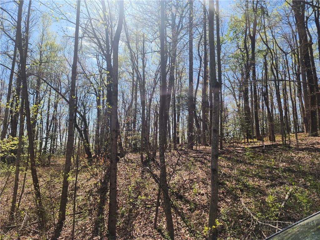 Image number 8 for the current listing