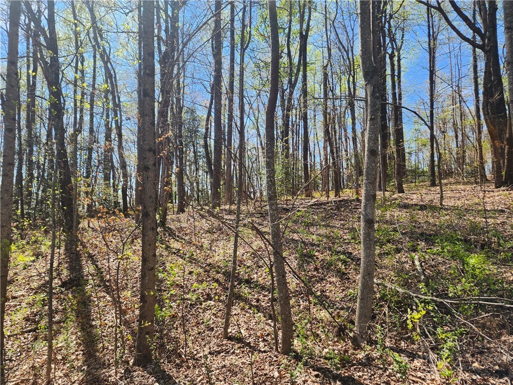 Image number 9 for the current listing