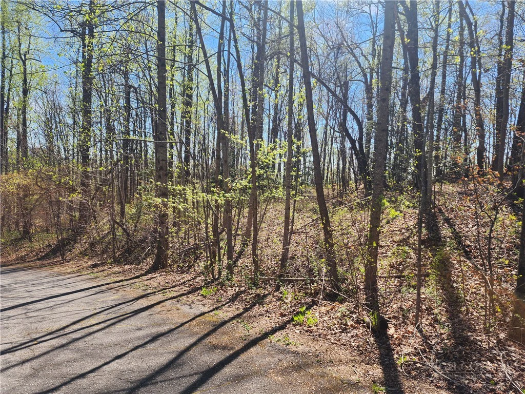 Image number 10 for the current listing