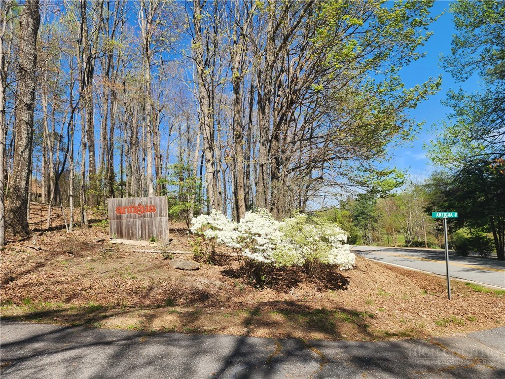 Image number 11 for the current listing