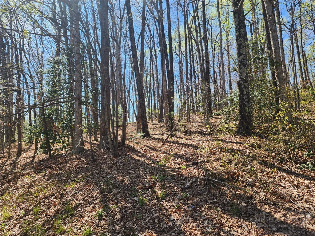 Image number 12 for the current listing