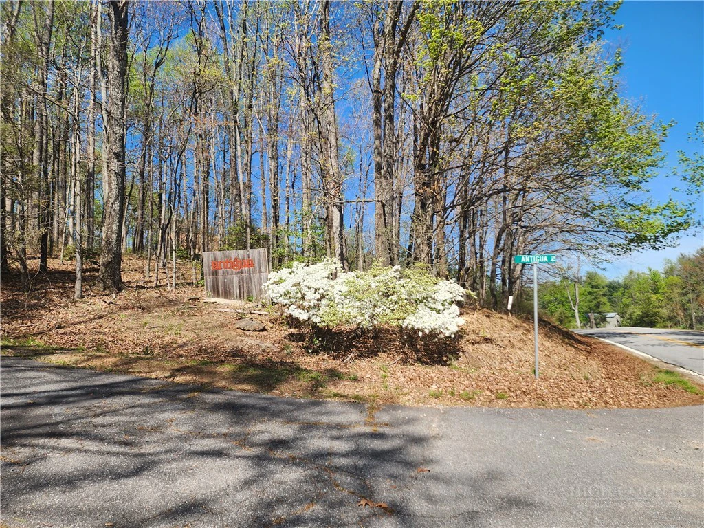 Image number 14 for the current listing