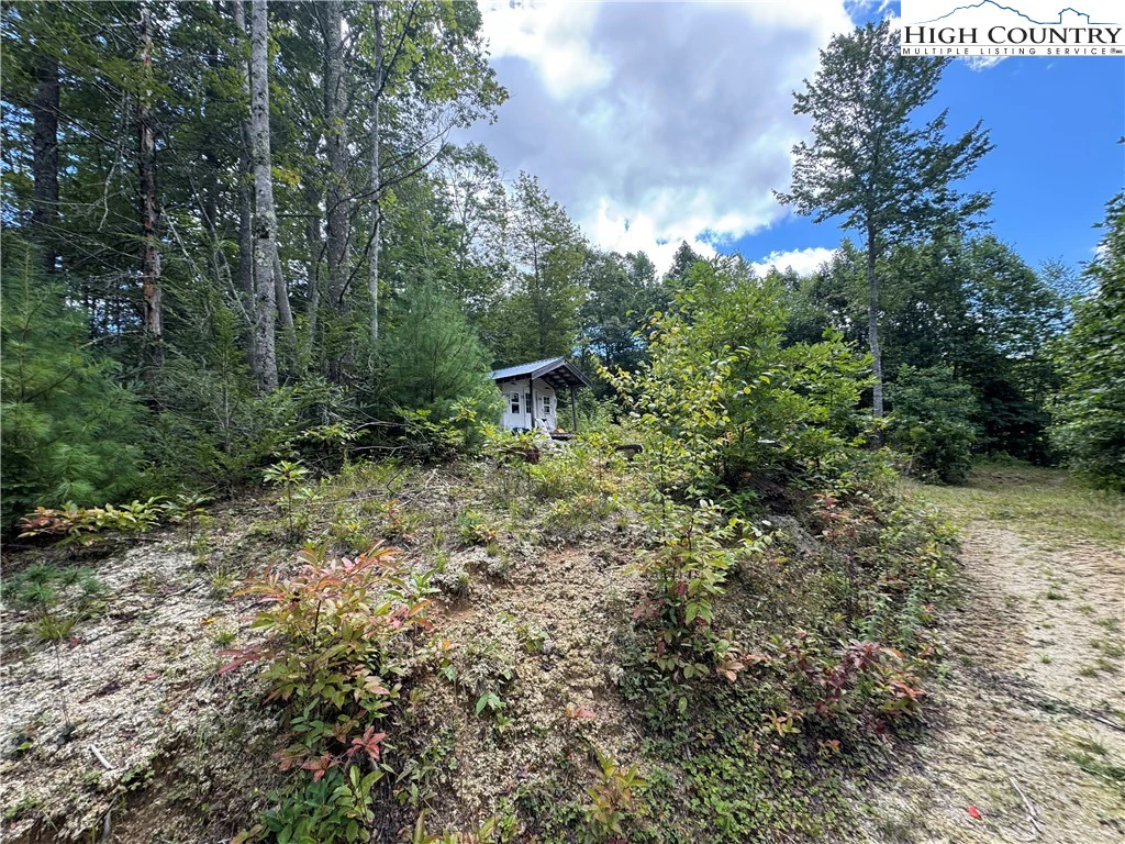 Image number 3 for the current listing