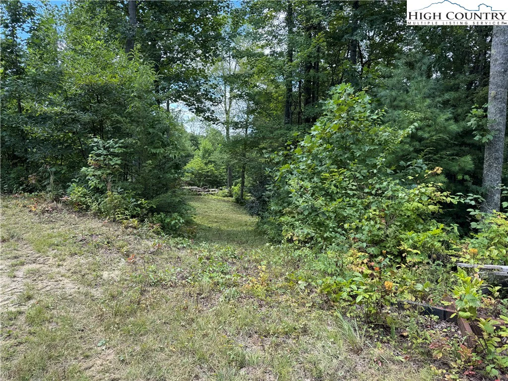Image number 5 for the current listing