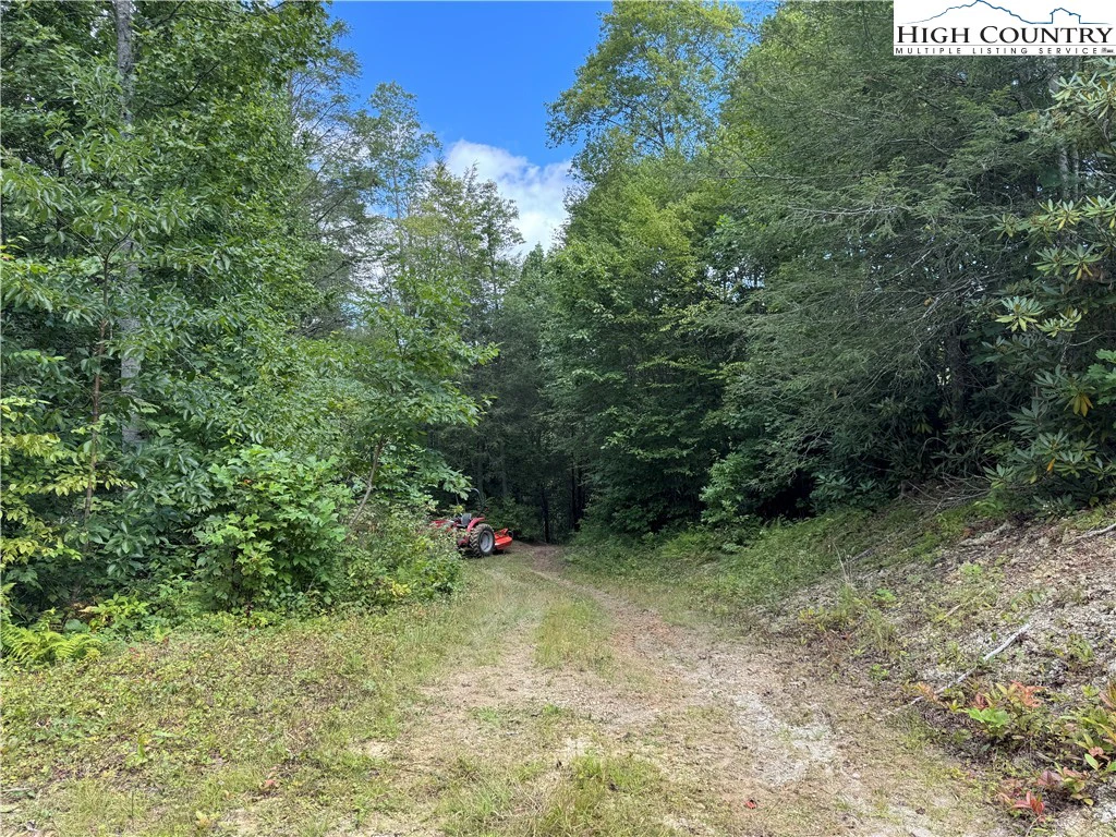 Image number 6 for the current listing