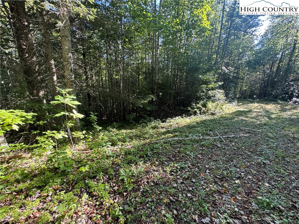 Image number 8 for the current listing