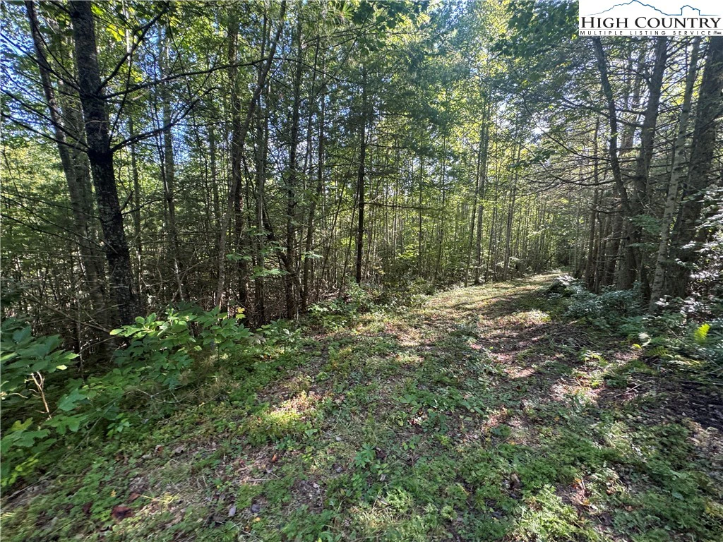 Image number 9 for the current listing