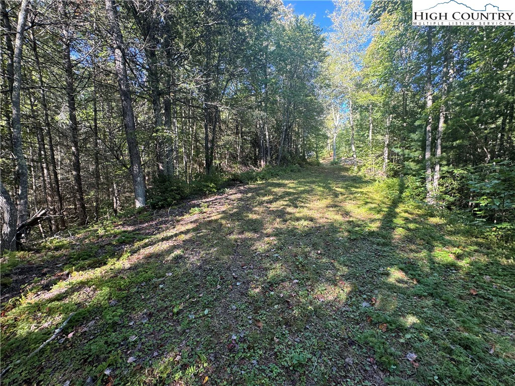 Image number 10 for the current listing