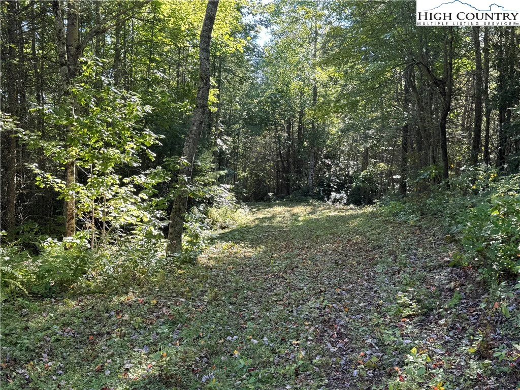 Image number 12 for the current listing