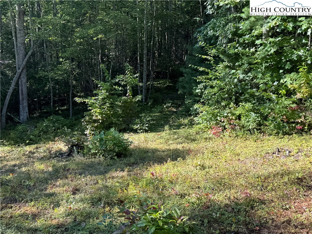 Image number 14 for the current listing