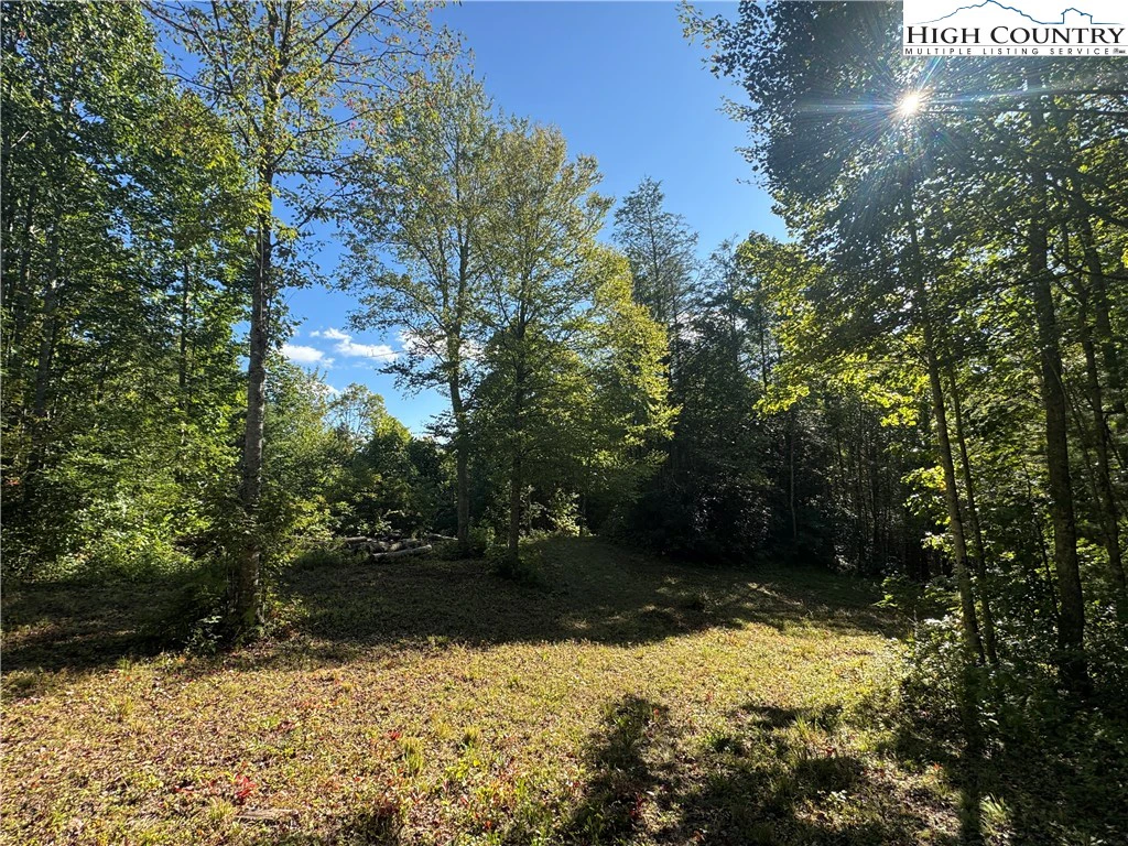 Image number 17 for the current listing