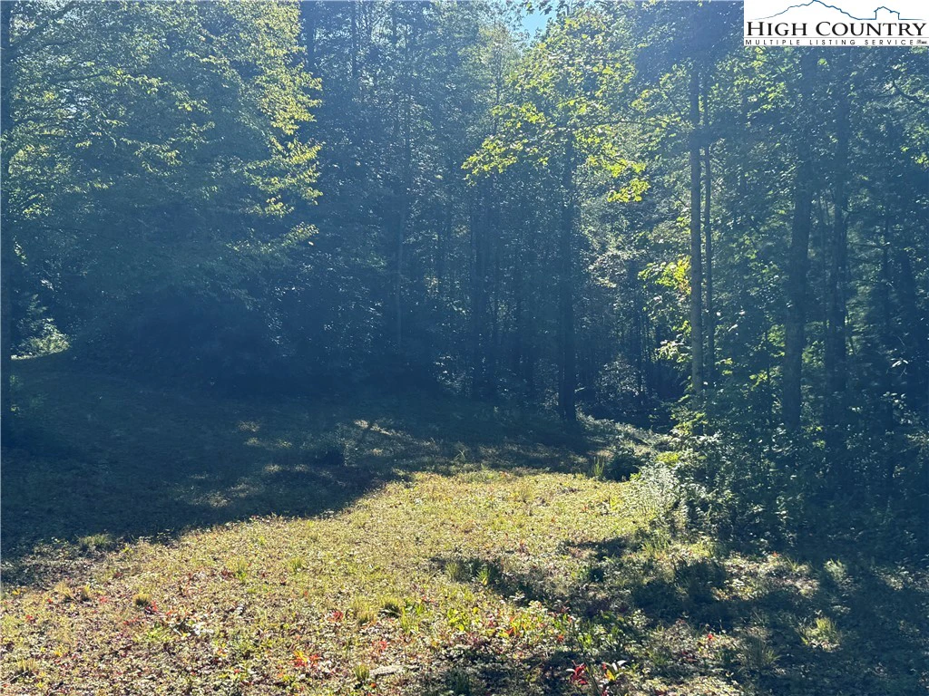 Image number 18 for the current listing