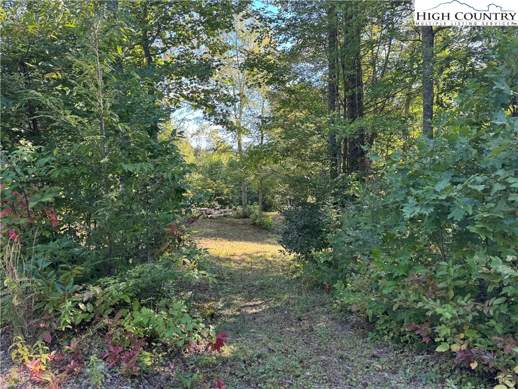Image number 20 for the current listing