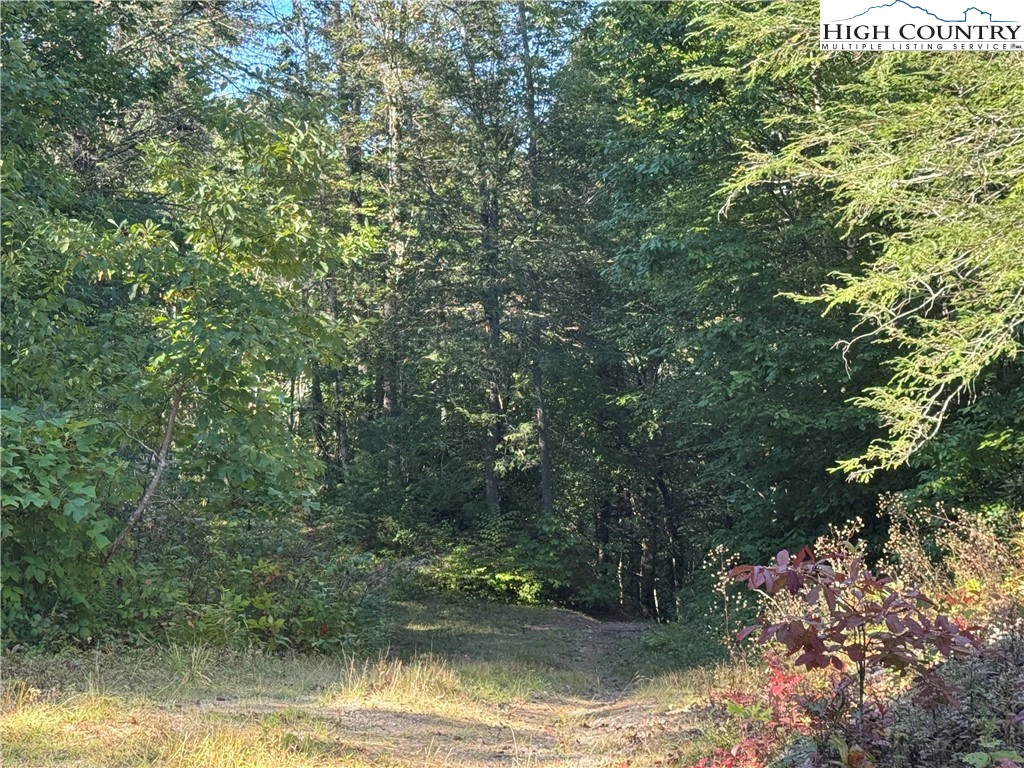 Image number 21 for the current listing