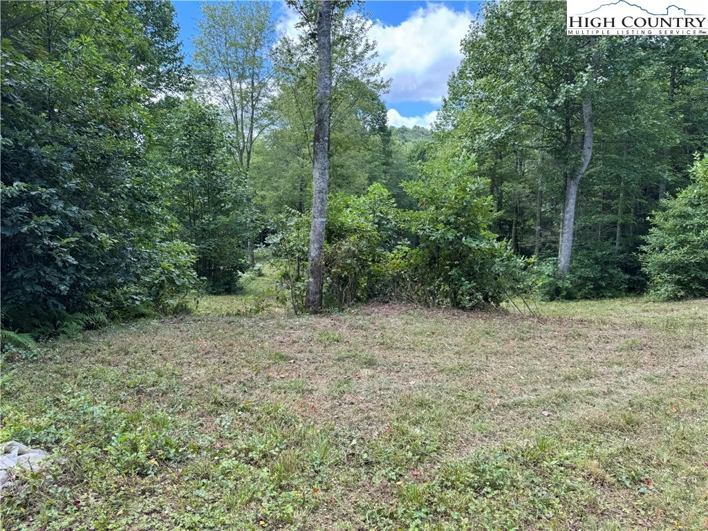 Image number 13 for the current listing