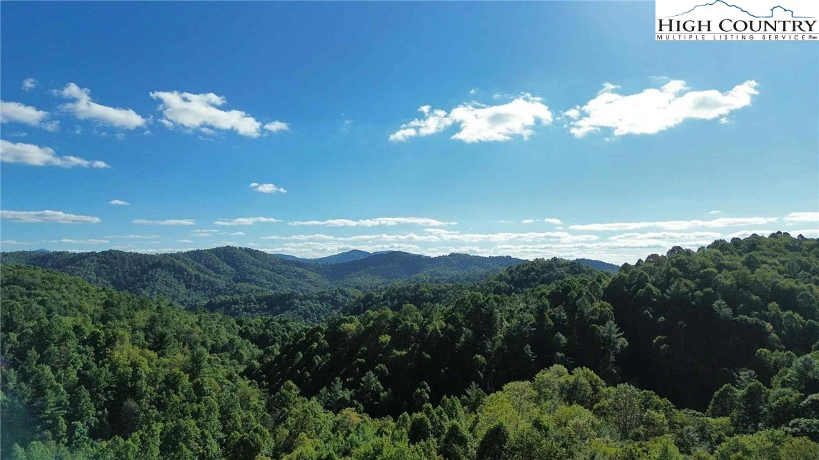 Image number 1 for the current listing