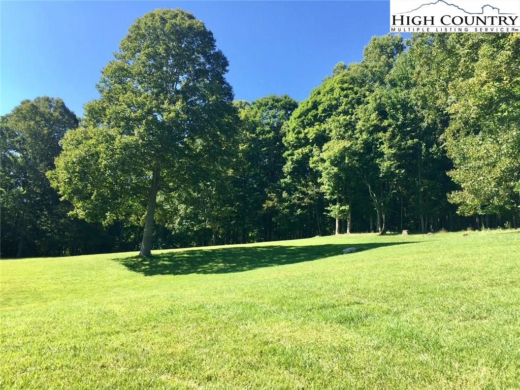 Image number 1 for the current listing