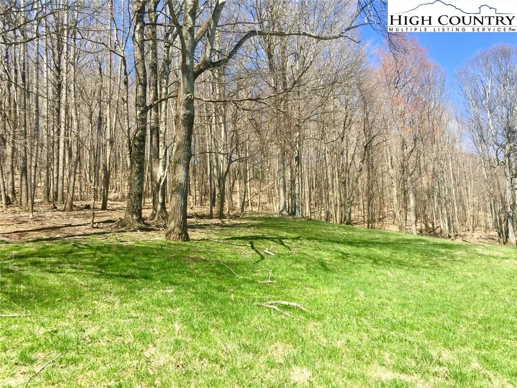 Image number 15 for the current listing