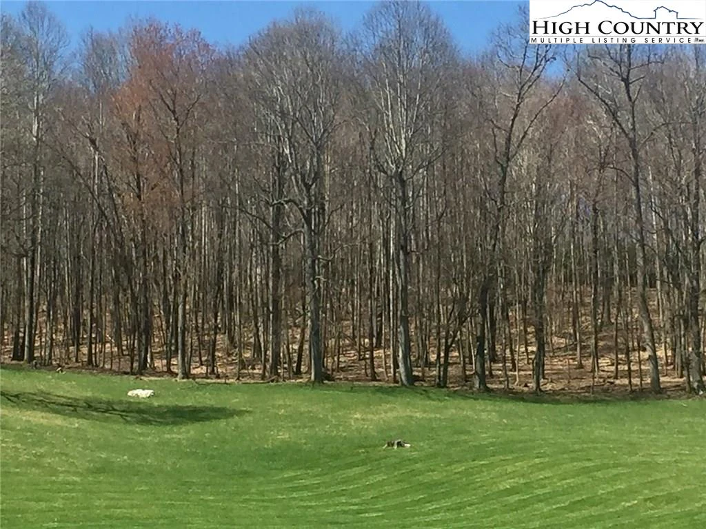 Image number 14 for the current listing
