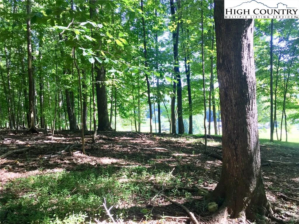 Image number 12 for the current listing