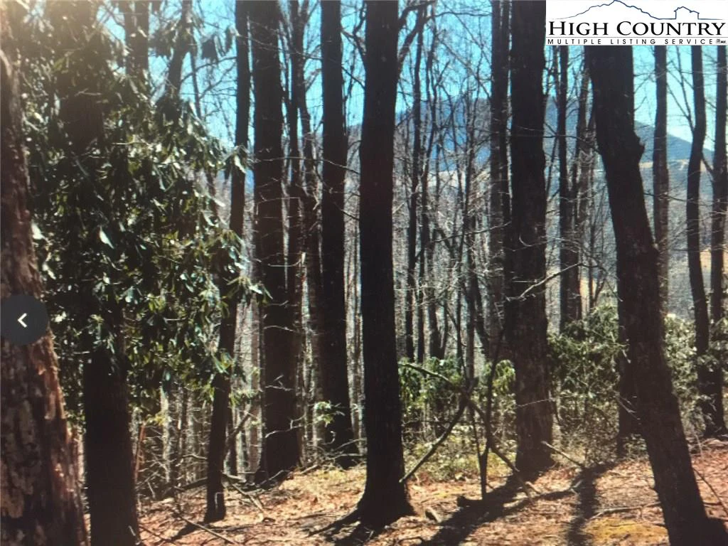 Image number 7 for the current listing