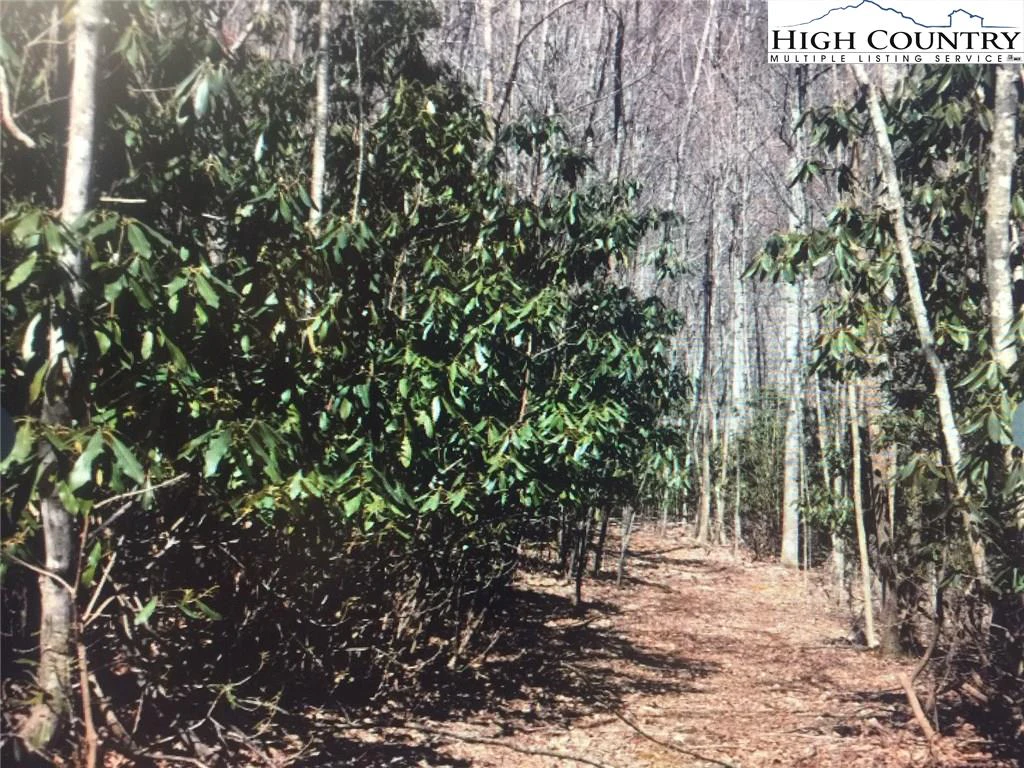 Image number 6 for the current listing