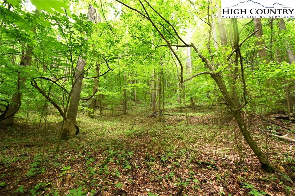 Image number 1 for the current listing