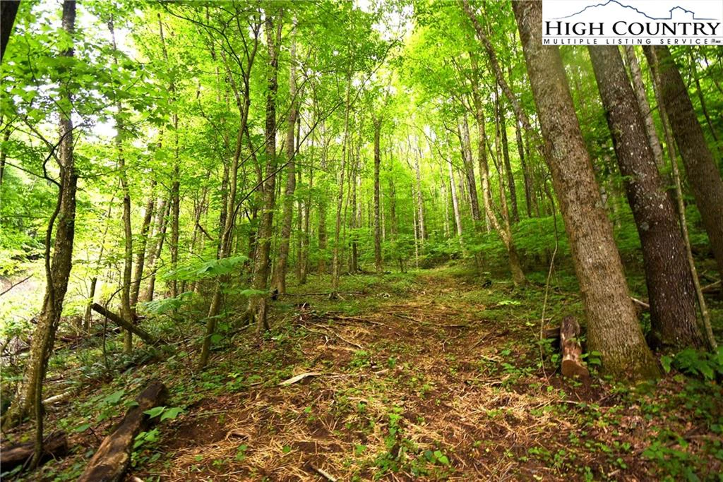 Image number 5 for the current listing