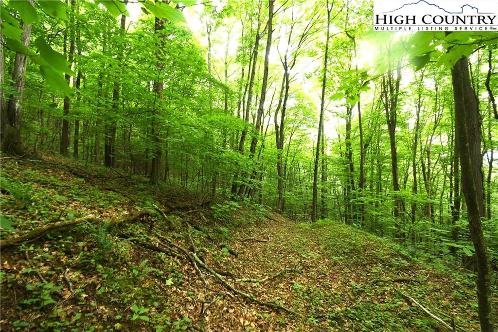Image number 9 for the current listing