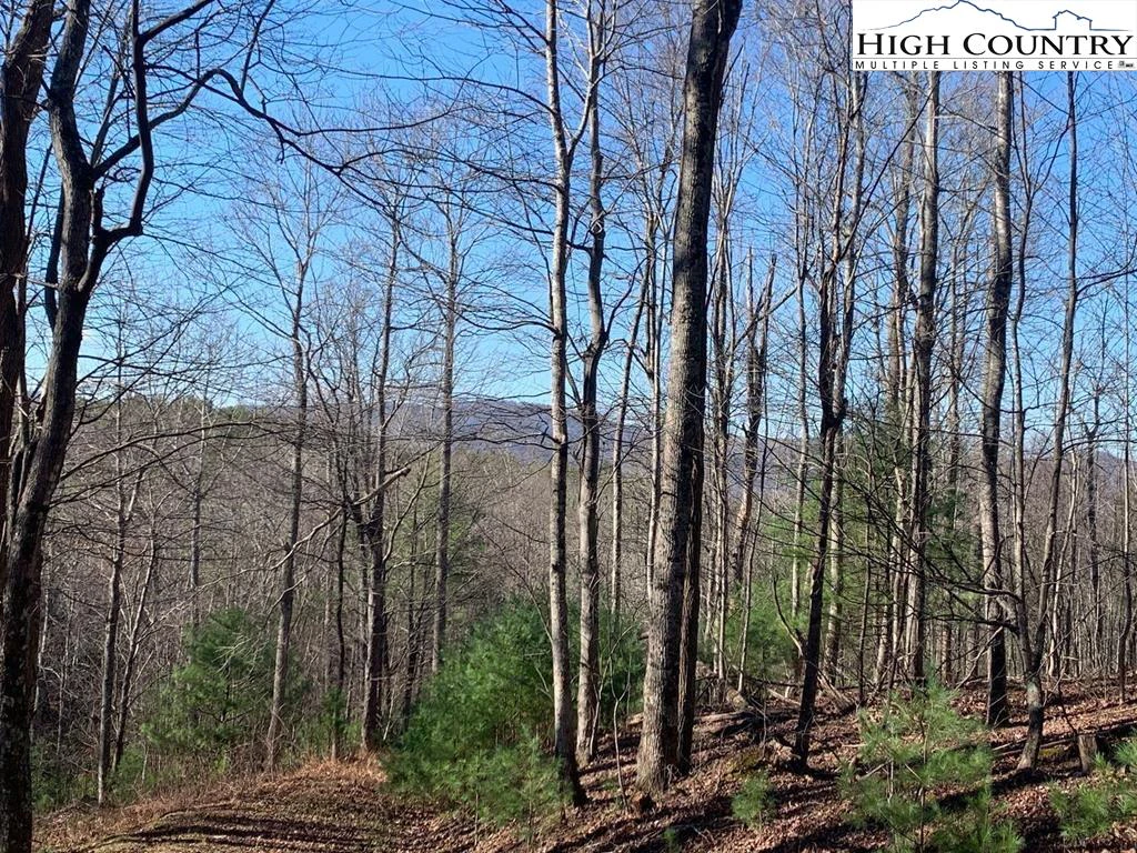 Image number 1 for the current listing