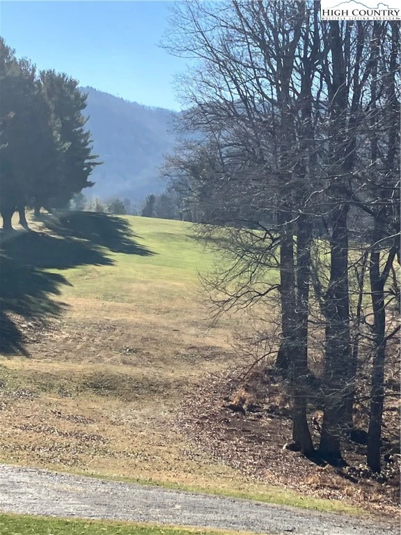 Image number 1 for the current listing