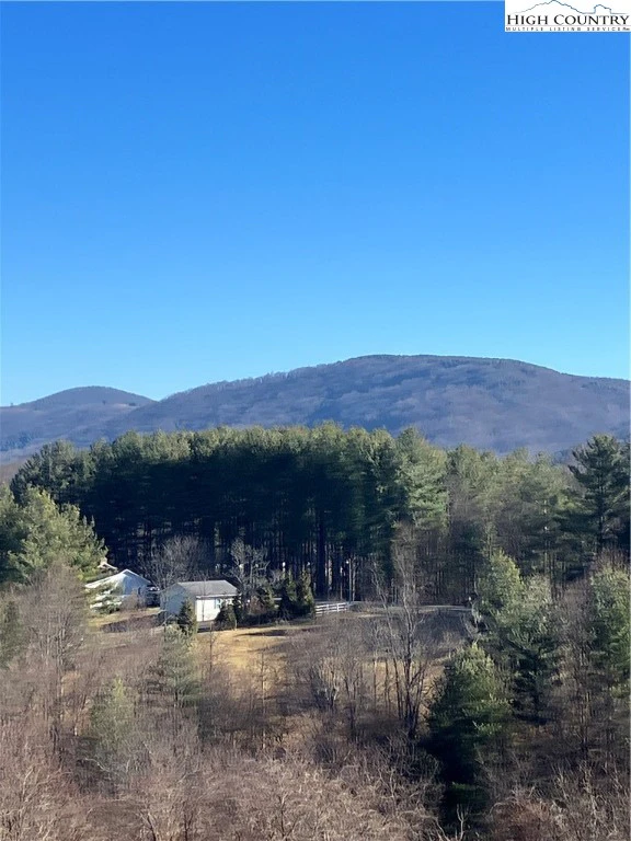Image number 7 for the current listing