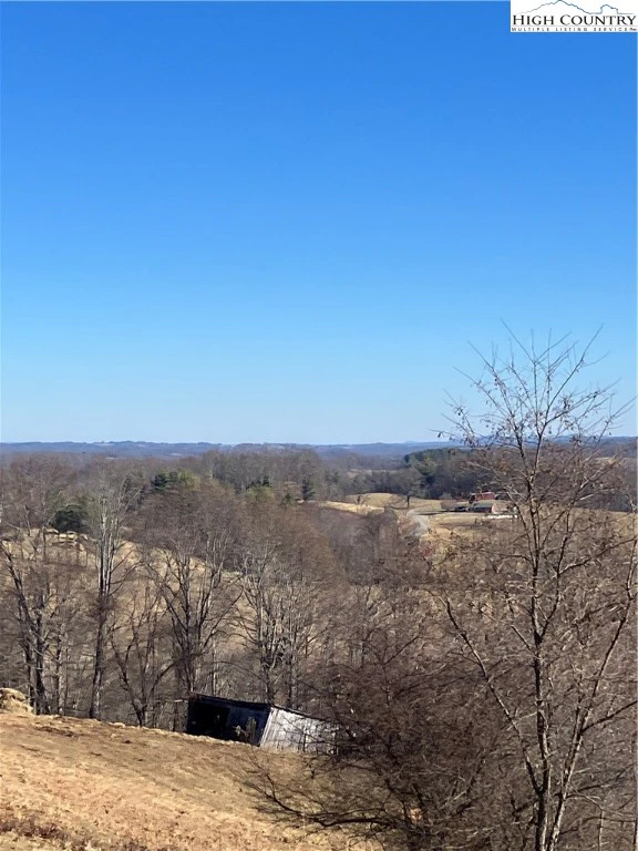 Image number 8 for the current listing