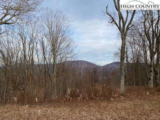 Image number 1 for the current listing