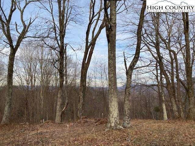 Image number 3 for the current listing
