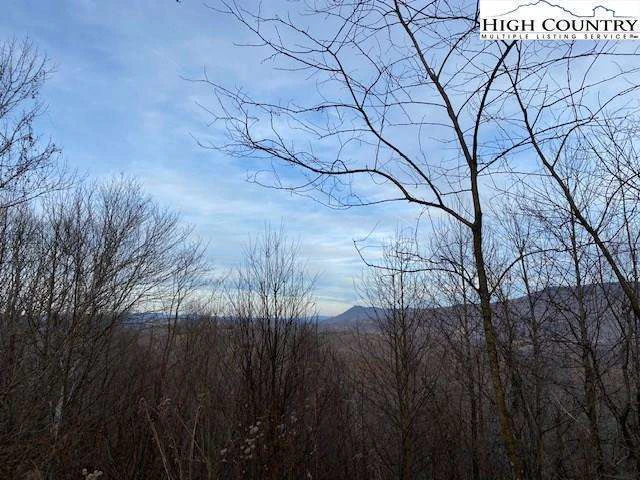 Image number 5 for the current listing